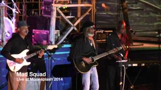 Mad Squad live at Moonsplash 2014 [upl. by Reiniar]