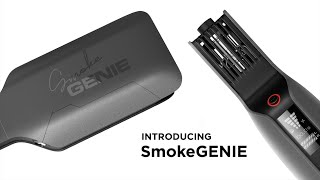 Handheld FOG MACHINE Revolution Meet SmokeGENIE POWER Unleashed fogger fogmachine smokemachine [upl. by Cinderella]