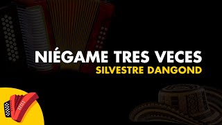 Niégame Tres Veces Silvestre Dangond Video Letra  Sentir Vallenato [upl. by Addiego868]