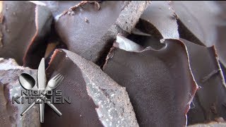 HOW TO MAKE CHOCOLATE Sugar Free  Nickos Kitchen [upl. by Massingill372]