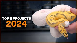 Top 5 Ball Python Projects for 2024 [upl. by Alahc]