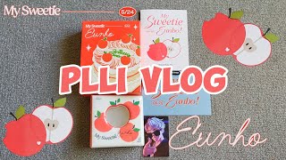 PLLI VLOG PLAVE  EUNHO Birthday Kit Unboxing  은호 생일키트 언박싱  銀虎生日禮盒 開箱  플리로그  플리 브이로그 [upl. by Llenroc174]