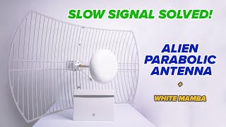 SLOW SIGNAL SOLVED  PARABOLIC ALIEN ANTENNA PLUS WHITE MAMBA B525s65a  DITO  SMART  GOMO [upl. by Fisuoy881]