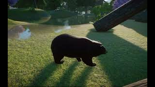 Planet Zoo  Formosan Black Bear [upl. by Sergu]