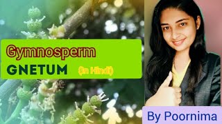 GnetumLife CycleGymnospermBy Poornima [upl. by Oirramed]