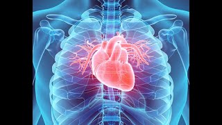 Physiology  CVS  Electrocardiograph 1422018 DrNagi  Arabic [upl. by Missie843]