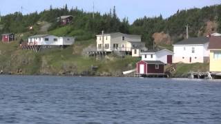 Herring Neck Notre Dame Bay Newfoundland [upl. by Nohtiek185]