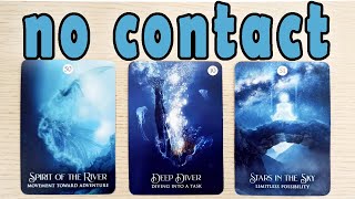 NO CONTACT THEIR FEELINGS ACTIONS FUTURE PICK A CARD TIMELESS TAROT READING [upl. by Ardnahc]