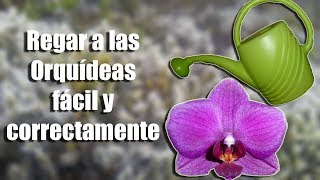 ¿Cómo se deben regar las Orquídeas correctamente  Orquiplanet [upl. by Nylareg443]