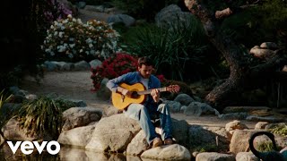 Rex Orange County  The Table Video [upl. by Leahcimauhsoj]