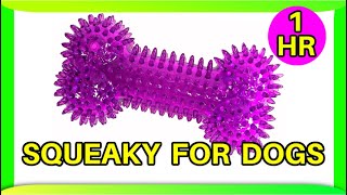 Squeaky toy sounds 1 hour dogs [upl. by Hobart]