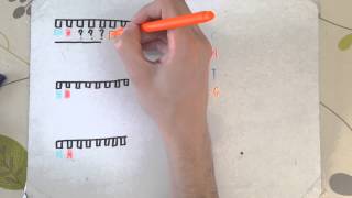 F215 OCR A2 Biology  DNA Sequencing and PCR [upl. by Natty]