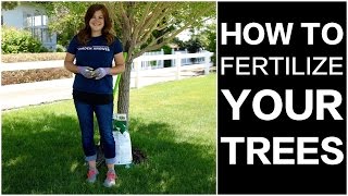 How to Fertilize Trees [upl. by Ardnaet]