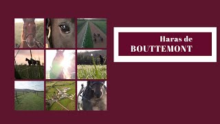 PROMOTION  HARAS DE BOUTTEMONT [upl. by Youngran]