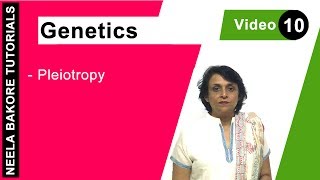 Genetics  Principles of Inheritance amp Variations  Pleiotropy  NEET  Neela Bakore Tutorials [upl. by Sloatman]