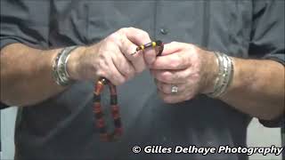 Coral Snake Venom Extraction [upl. by Lakym]