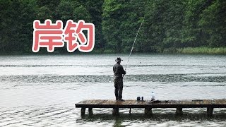 如何岸钓？钓鱼技巧教学Fishing Tutorialshore fishing [upl. by Atinod561]