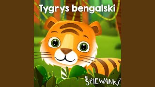 Tygrys bengalski [upl. by Carry]