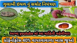 કપાસમાં ગુલાબી ઈયળ નું નિયંત્રણ કેવી રીતે કરવું  gulabi eyal ni dava100 નિયંત્રણ  Pink Bollworm [upl. by Krakow746]