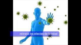 Suplemento RESVERATROL  Beneficios [upl. by Erikson]