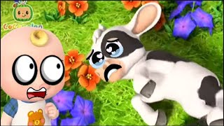 The Boo Boo Song  CoComelon  Nursery Rhymes amp Kids Songs [upl. by Deehsar1]