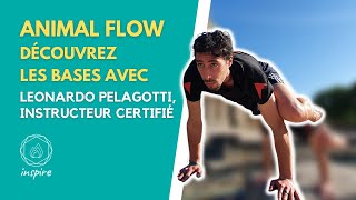 Découvrez les bases de lAnimal Flow avec Leonardo Pelagotti instructeur certifié [upl. by Hsu609]