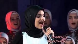 Mawlaya sali wasalim nasheed with lyrics and subtitles [upl. by Polish]