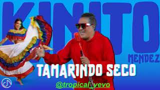 TAMARINDO SECOKINITO MENDEZ MERENGUE 2024 [upl. by Jenine]