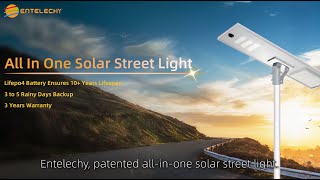 Entelechy Solar Street Light [upl. by Arnst]