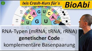 RNATypen mRNA tRNA rRNA Genetischer Code und Komplementäre Basenpaarung  Anwendungsaufgaben [upl. by Marelda]