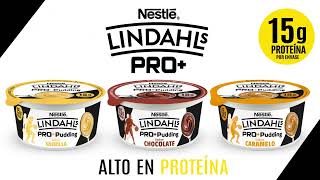 Lindahls Pro Pudding 6quot [upl. by Romeu]