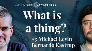 Michael Levin  Bernardo Kastrup 3 Evolution Metacognition Life amp Death [upl. by Laurena140]