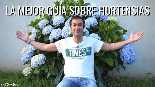 La mejor GUÍA para cultivar HORTENSIAS que verás en Youtube  en20metros [upl. by Carbone]