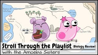 Stroll Through the Playlist a Biology Review [upl. by Etan163]