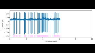 Cellattached recording of a Lhx6 interneuron [upl. by Hnim]