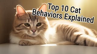 Cat Whisperer Secrets Revealed Top 10 Common Cat Behaviors [upl. by Anaiv]