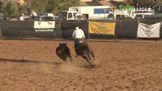 ASH National Show 2013  Open Campdraft [upl. by Hanus]