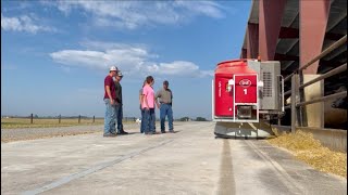 Lely Vector Increases Cattle Feeding Efficiency at Pieper Feedlot [upl. by Appolonia]