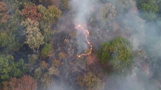 Spring Pond Fire  Peabody MA  91424  1 [upl. by Jepson]