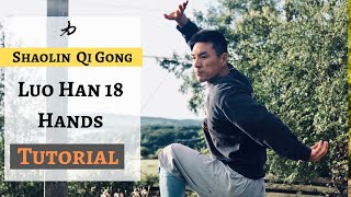 Shaolin Qi Gong  Luo Han 18 Hands  Arhat 18 hands KungFuLife  Tutorial [upl. by Alra]