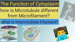 Cytoplasm amp Cytoskeleton diagram class 9  Microtubule amp Microfilament drawing easy explaination [upl. by Irami]