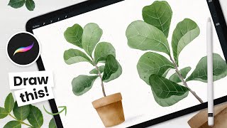 How To Draw Watercolor Fiddle Leaf Fig Tree • Procreate Tutorial [upl. by Arahat]