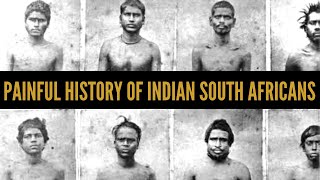 Indian South Africans The painful story of indentured labourers  African Biographics [upl. by Pergrim]