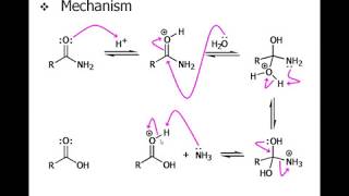 Chemistry of Carboxylic Acid Derivatives [upl. by Ardnat89]