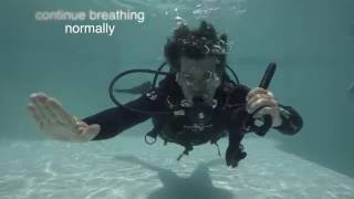 Neutrally Buoyant  PADI Divemaster amp Instructor Course PADI IDC Skills circuit [upl. by Gerc]