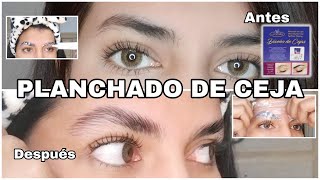 Como hacer un planchado de cejas paso a paso J Denis 🏠✨  planchadodecejas laminado cejas [upl. by Candra]