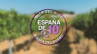 Ruta del vino Ribera del Duero 10 básicos [upl. by Verena]