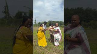 Maa polam shorts farming garden laddu youtubeshorts [upl. by Ellimaj]