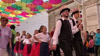 TimisoaraTemeswarTemeschburg  Heimattage der Banater Deutschen Festzug der Trachtenpaare [upl. by Deehsar778]