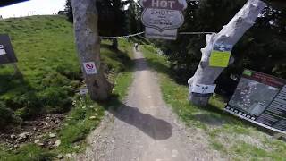 Saalbach Leogang AT  2019  Hotshots  Downhill [upl. by Abbate]